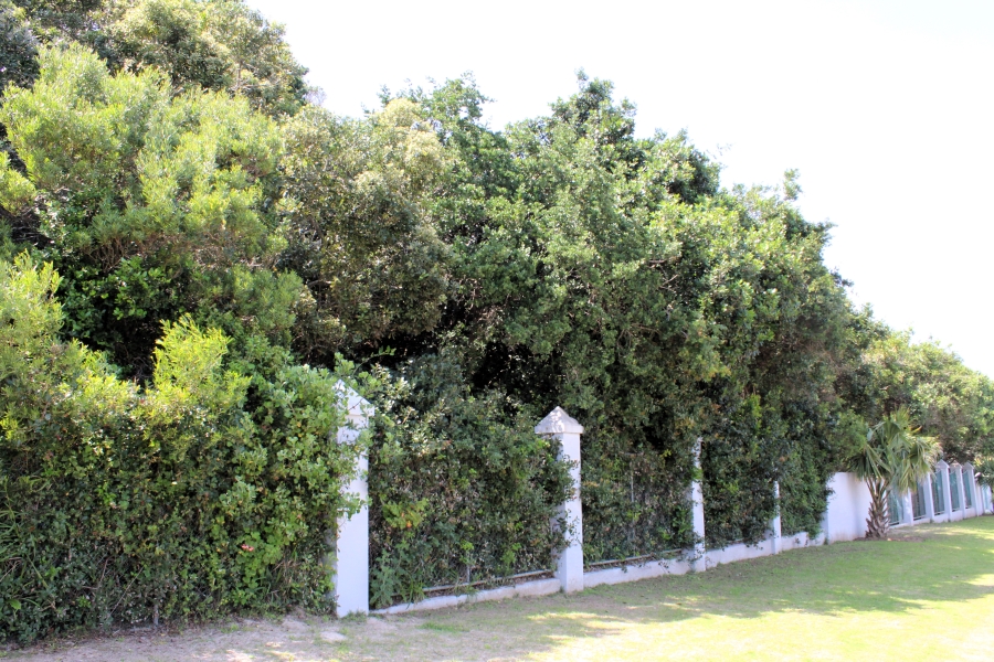 0 Bedroom Property for Sale in East Bank Eastern Cape
